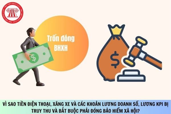 Pháp luật