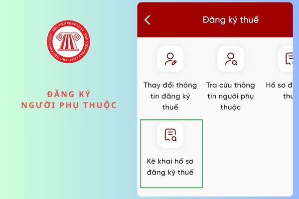 Pháp luật