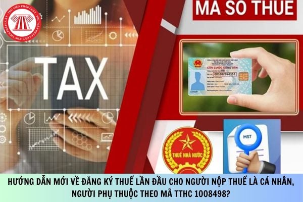 Pháp luật