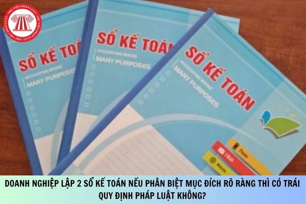 Pháp luật