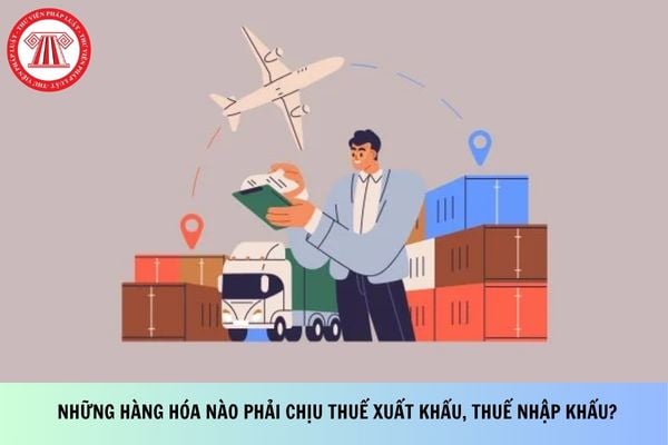 Pháp luật