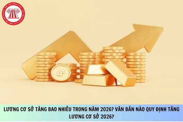 Pháp luật