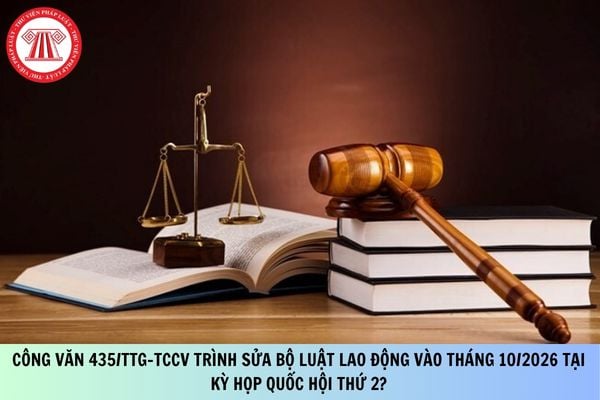 Pháp luật