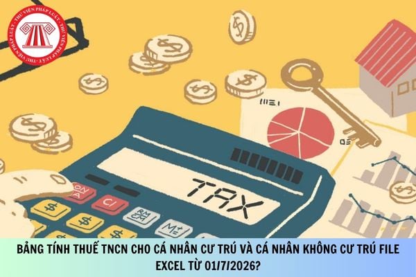 Pháp luật