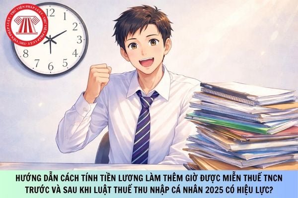 Pháp luật