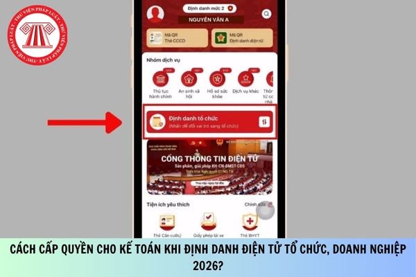 Pháp luật