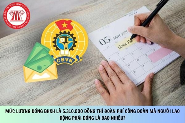 Pháp luật