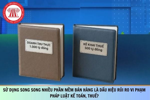 Pháp luật
