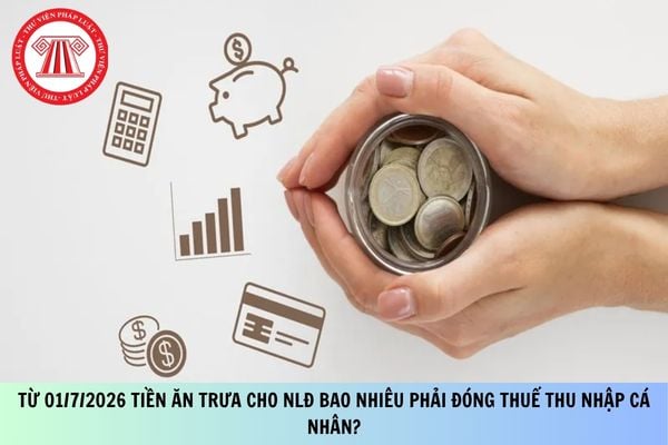 Pháp luật