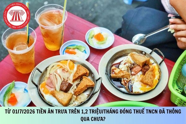 Pháp luật