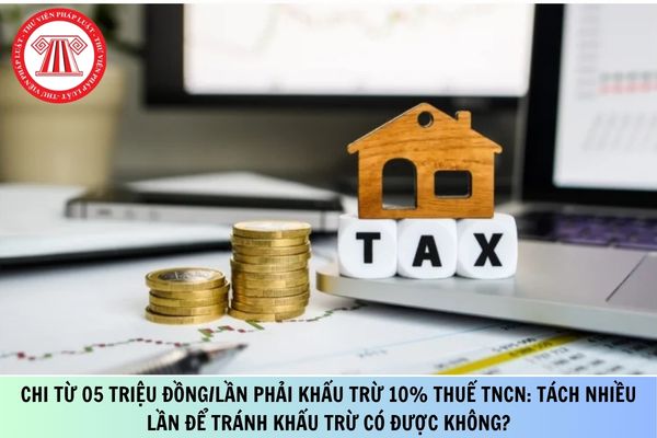 Pháp luật
