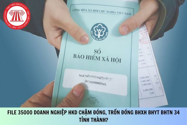 Pháp luật