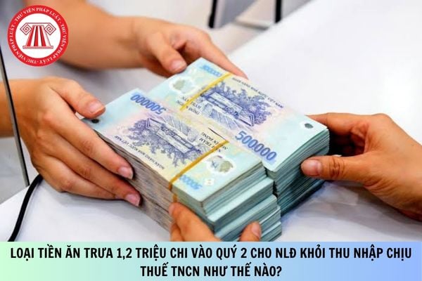 Pháp luật