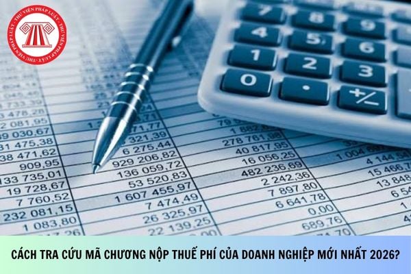 Cách tra cứu mã chương nộp thuế phí của doanh nghiệp mới nhất 2026?