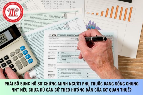Pháp luật