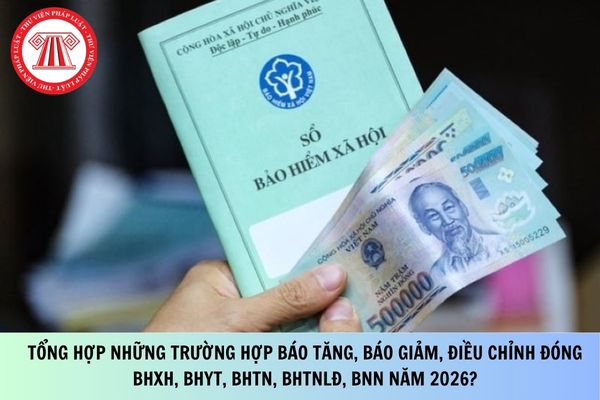 Pháp luật