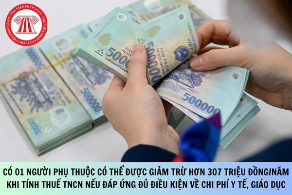 Pháp luật