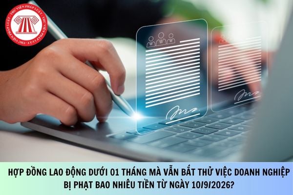 Pháp luật
