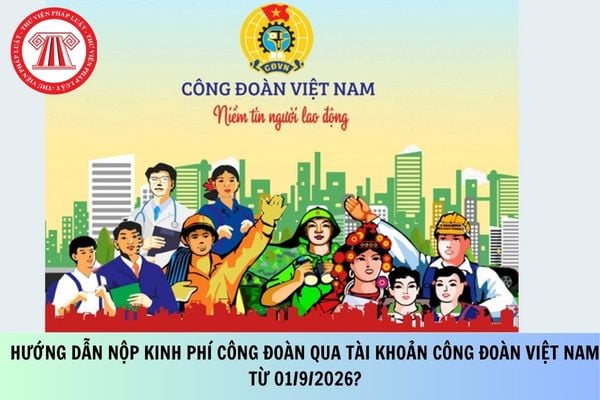 Pháp luật