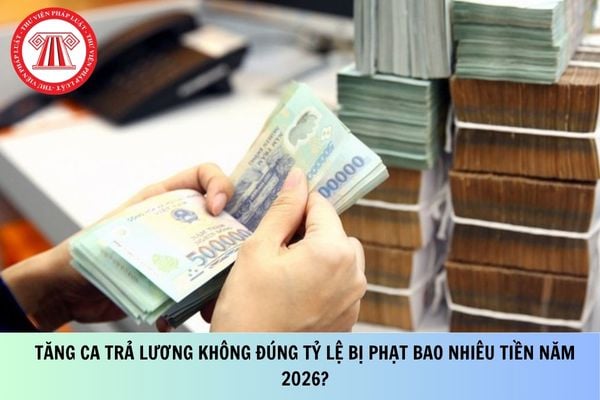 Pháp luật