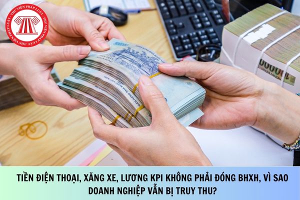 Pháp luật