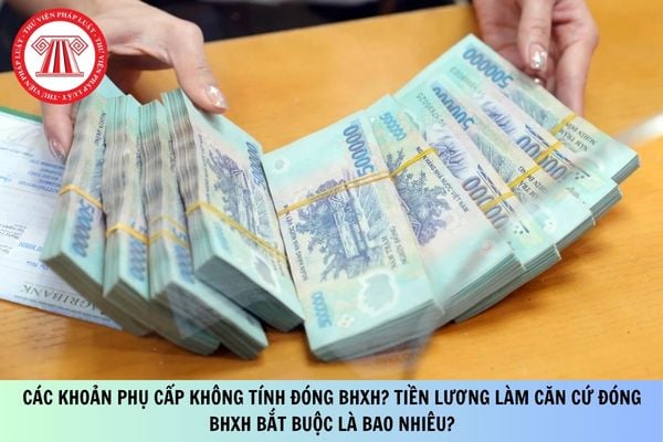 Pháp luật