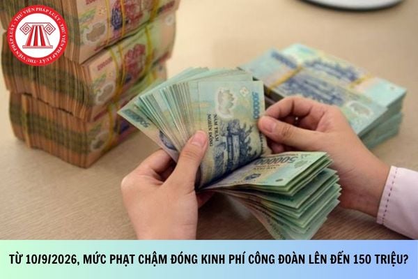 Pháp luật