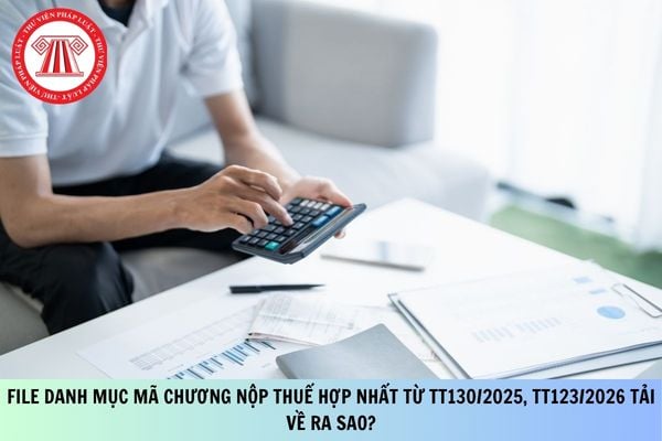 Pháp luật