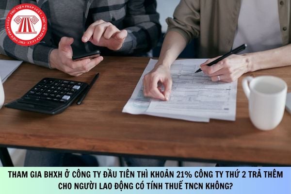 Pháp luật