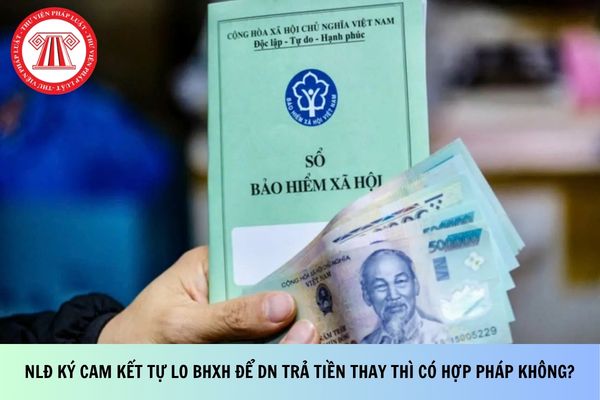 Pháp luật