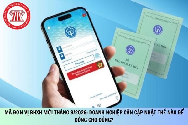 Pháp luật