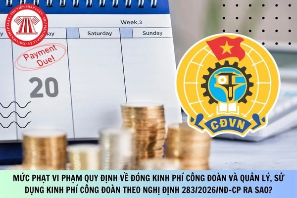 Pháp luật