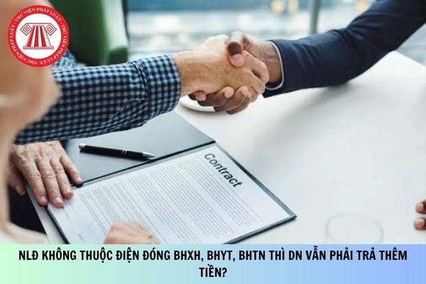 Pháp luật