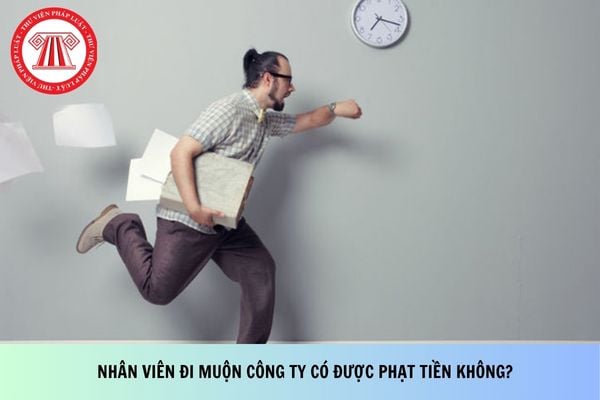 Pháp luật