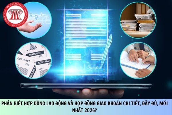 Pháp luật
