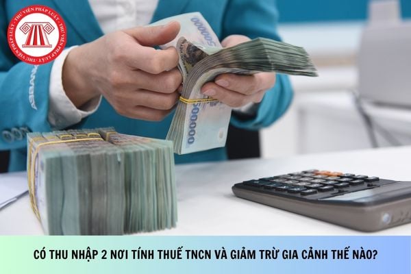 Pháp luật