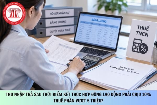 Pháp luật