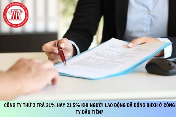 Pháp luật