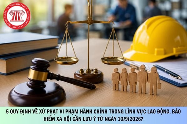 Pháp luật