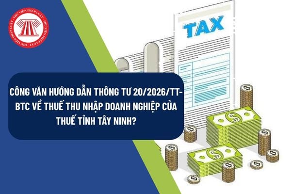 Công văn hướng dẫn Thông tư 20/2026/TT-BTC về thuế thu nhập doanh nghiệp của Thuế tỉnh Tây Ninh?