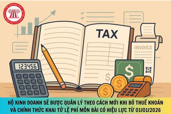 Pháp luật