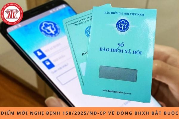 Pháp luật