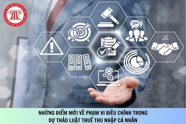 Pháp luật