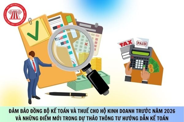 Pháp luật