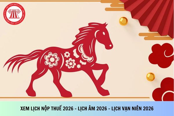 Pháp luật