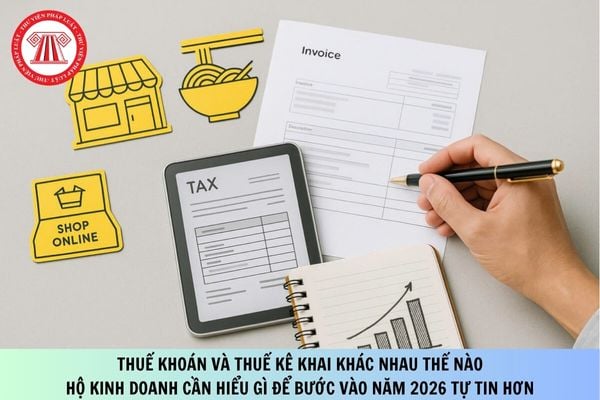 Pháp luật