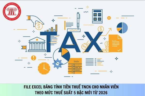Pháp luật