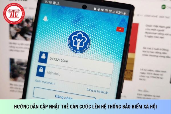Pháp luật
