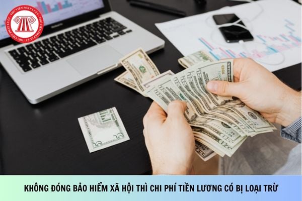 Pháp luật