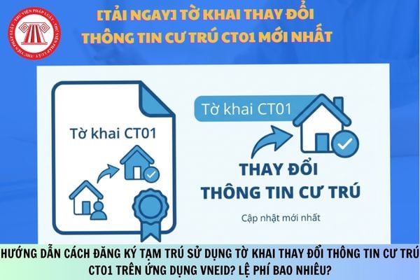 Pháp luật